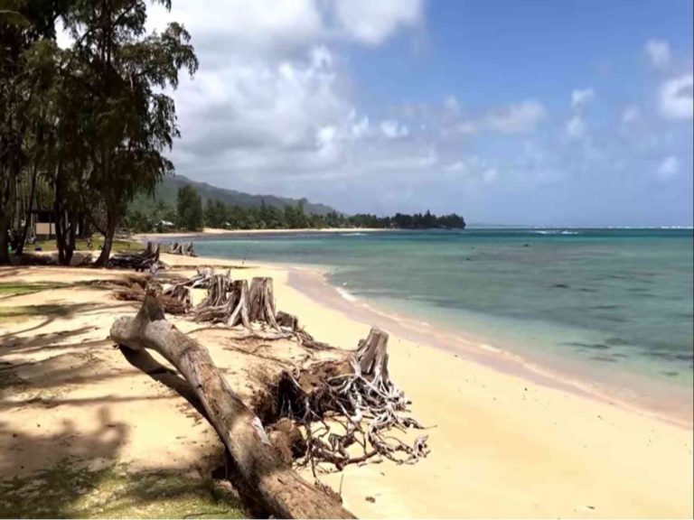 Punaluu Beach Hawaii