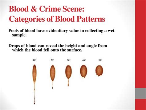 Punch Code Guide: Mastering Blood Patterns Easily