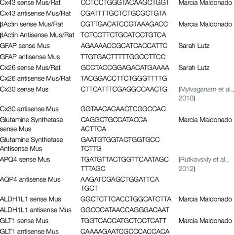 Qpcr Primer Sequences Used For Characterization Of Immortalized