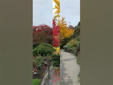 Queen Elizabeth Park Youtube