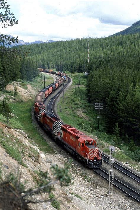 Railpictures Ca Steve Young Photo The Westbound Canadian