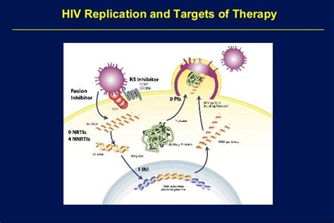 Rationale And Uses For A Public Hiv Drug Resistance Database