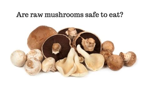 Raw Mushrooms Are Not Dangerous Eat Them Happy Herbivore