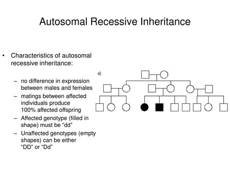 Recessive Ppt Download