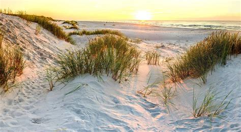 Recipe For A Dune Sand Wind Water Plants College Of Science