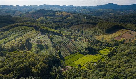 Recoftc Thailand Renew Pact To Strengthen Community Forestry Recoftc