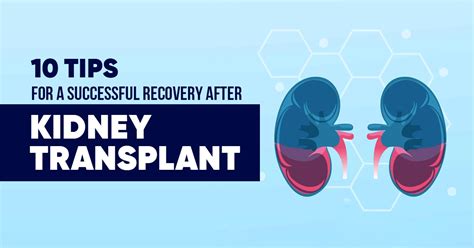 Recovery After Kidney Removal