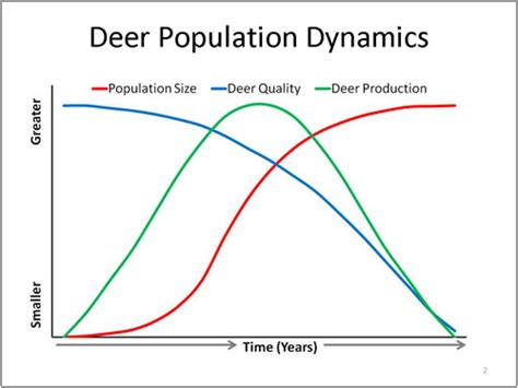 Red Deer Population Dynamics Uncovered