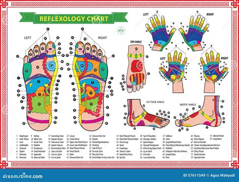 Reflexology Charts Hand Foot Ear Reflexology Chart Tips