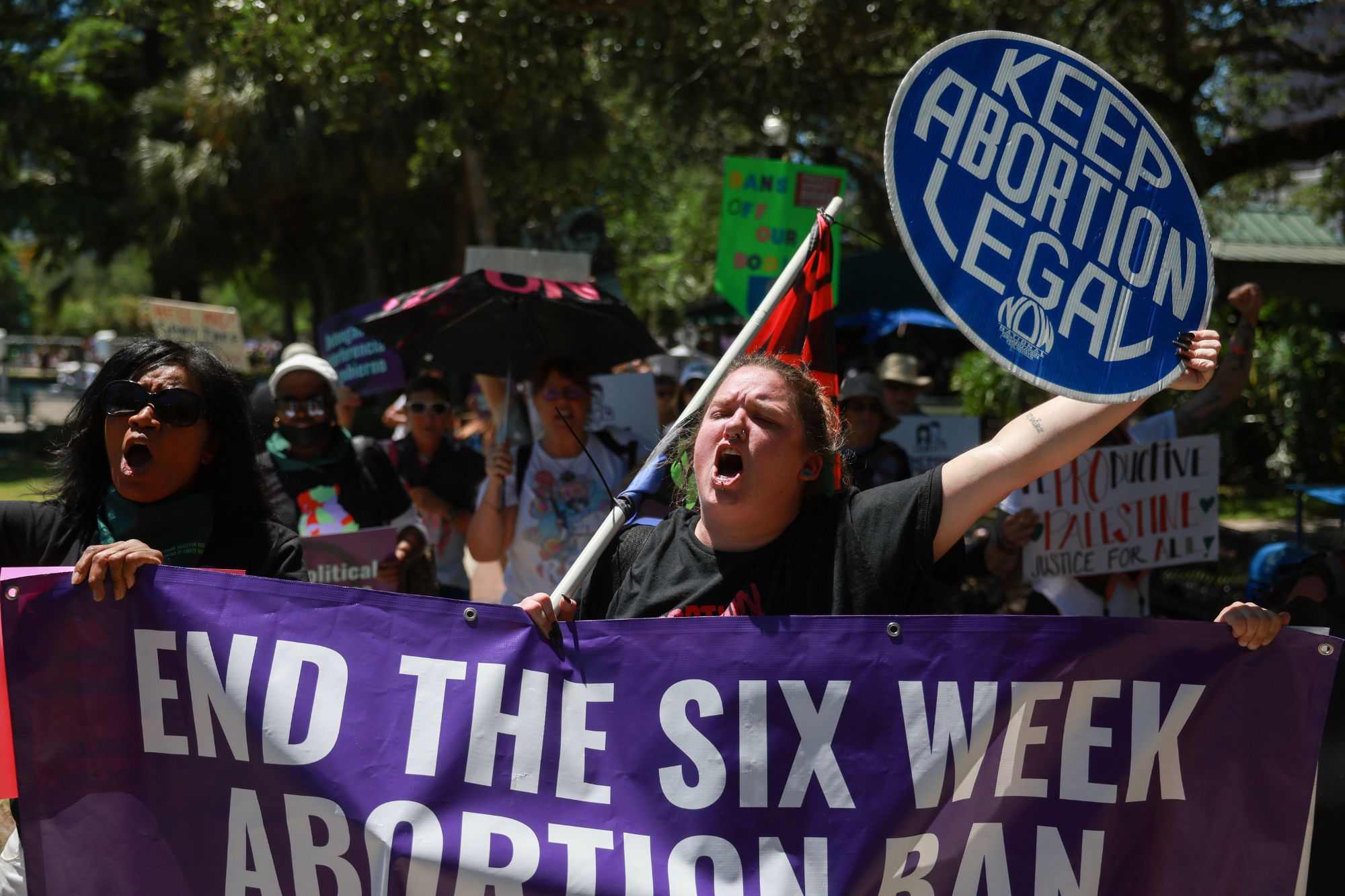 Republicans Florida Abortion Amendment