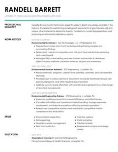 Resume Basics Master The Professional Summary Verbalize Now