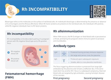 Rh Incompatibility Free Cheat Sheet Lecturio Nursing