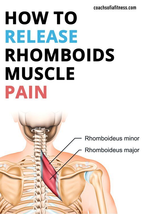 Rhomboid Muscle Stretches