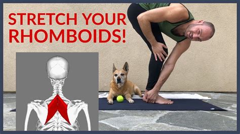 Rhomboid Stretching Guide: Reduce Back Pain