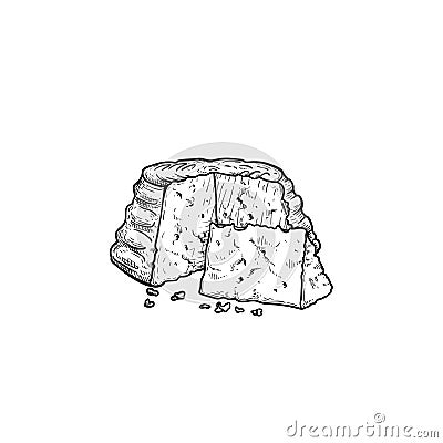 Ricotta Cheese Head With Slice Hand Drawn Sketch Style Drawing Of