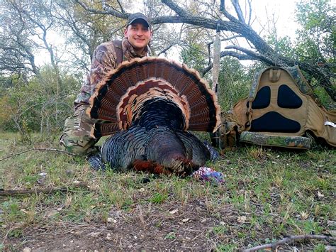 Rio Grande Turkey John P Boerschig Ranches