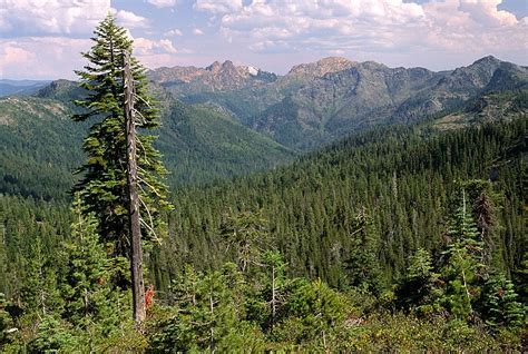 Rogue Riversiskiyou Forest Service Vandalism