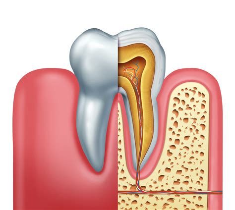 Root Canal Treatment And Cost Moorehead Dentistry