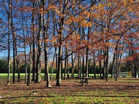 Ross Lord Park Toronto