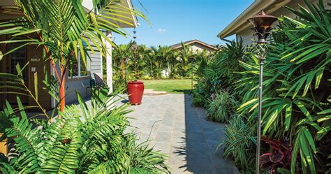 Royal Palm Trees: Boost Curb Appeal