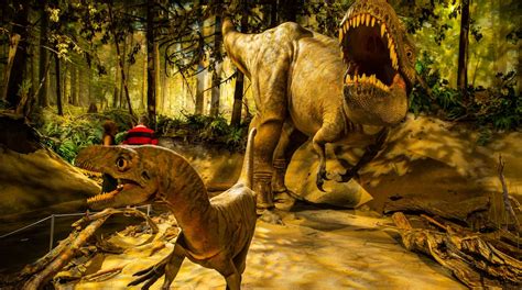 Royal Tyrrell Museum A Drumheller Tour E Visite Guidate Expedia It