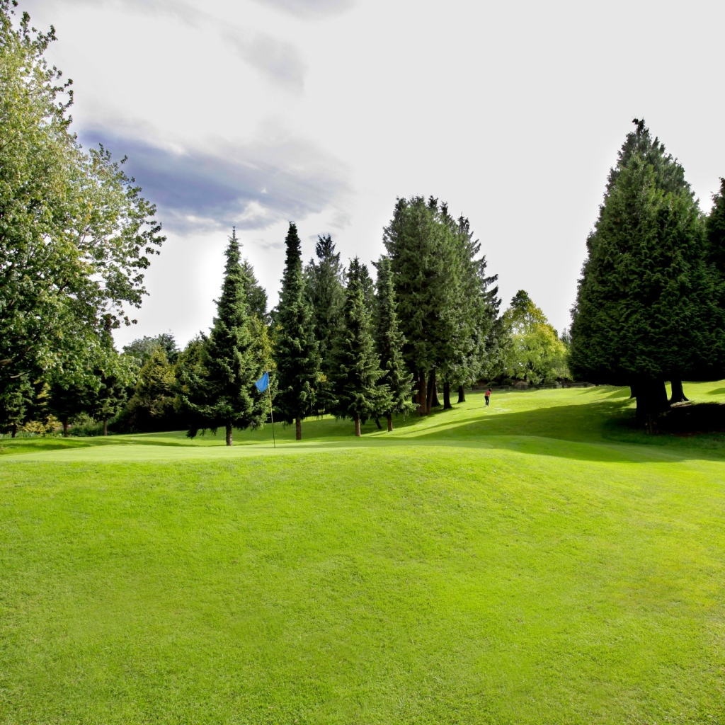 Rupert Park Pitch Putt Hastings Sunrise Vancouver Bc