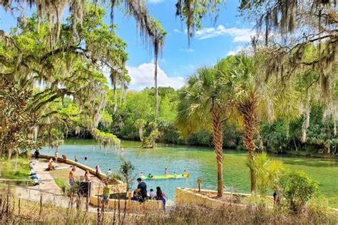 Salt Springs Campground