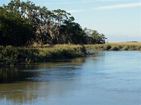 Sapelo Island Wildlife Management Area Official Georgia Tourism