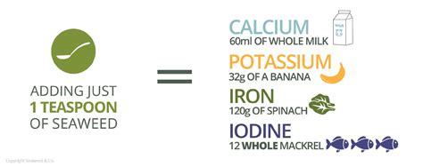 Seaweed Nutrition Facts That You Didn T Know Seaweed Co