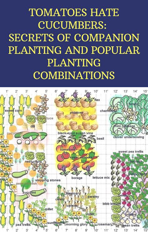 Secrets Of Companion Planting Popular Planting Combinations Urban