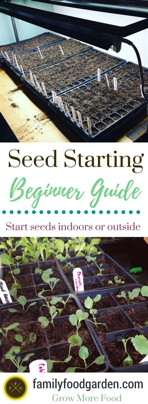 Seed Starting Guide: Boost Success Rates