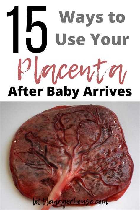 Selling Placenta: Earn Money After Birth