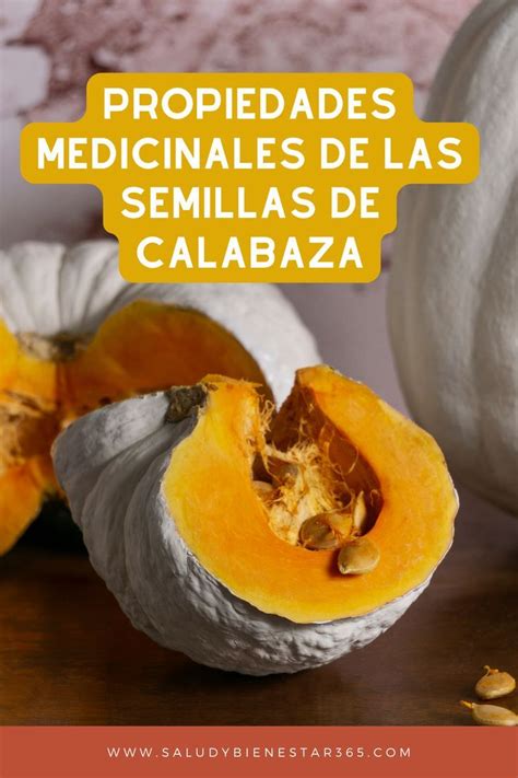 Semillas De Calabaza Semillas De Calabaza Beneficios Frutas Y