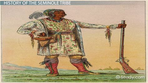 Seminole Tribe History Facts Amp Culture Lesson Study Com