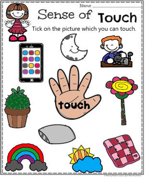 Sense Of Touch Worksheet