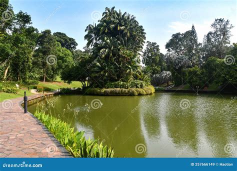 Serene Garden All About City Singapore