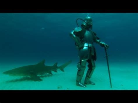 Sharks And Shining Armor Mythbusters Jawsome Shark Special Shark