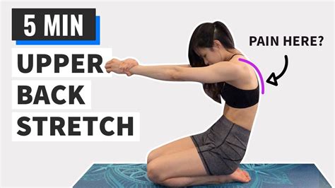 Shoulder Blade Stretches