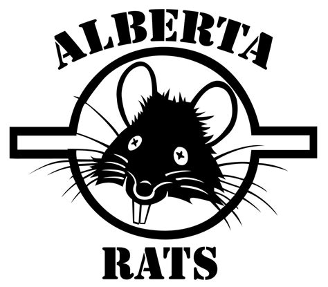 Alberta Rats Control: Effective Solutions - Black Atlantic