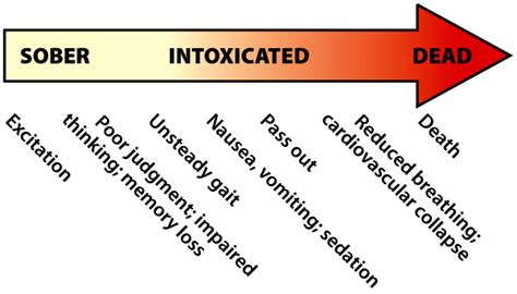 Signs Of Ethanol Intoxication The Alcohol Pharmacology Education