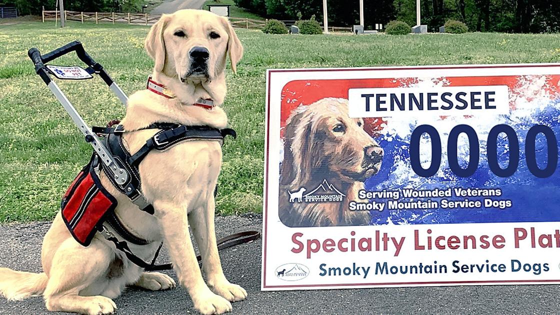 Smoky Mountain Service Dogs License Plates Available Community