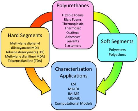 Soft Segments And Hard Segments