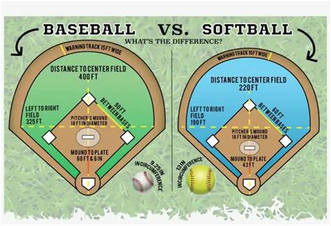 Softball Facts Dimensions Distance And Diameters