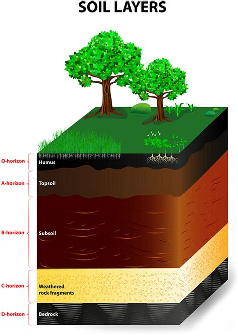 Soil Horizons Climate And Soil Composition