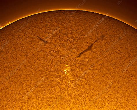 Solar Filaments Stock Image C009 3718 Science Photo Library