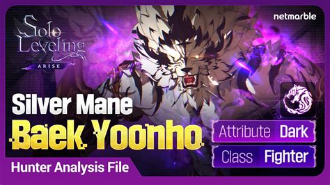 Solo Leveling Arise Hunter Analysis File Silver Mane Baek Yoonho Solo