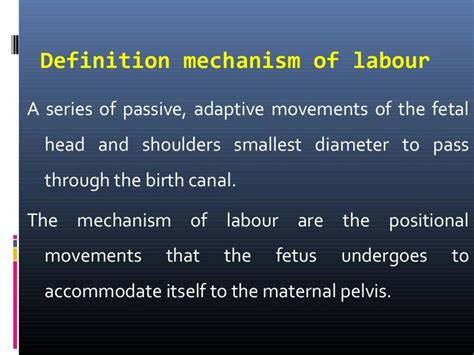 Solution Mechanism Of Labour Loa Studypool