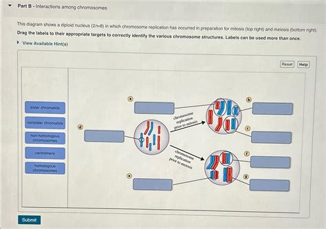 Solved Part B Interactions Among Chromosomesthis Diagram Chegg Com