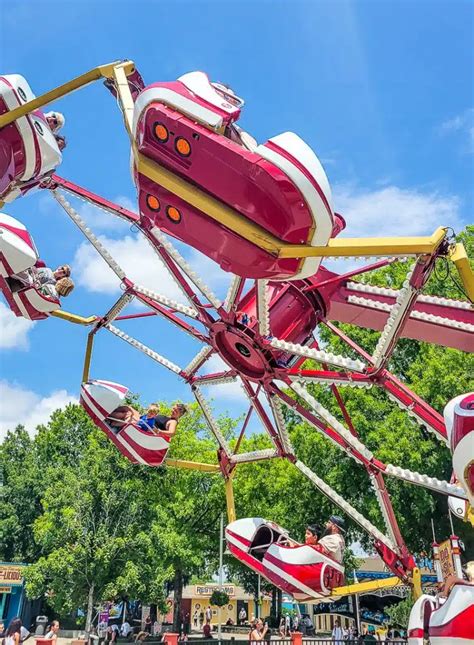 South Amusement Guide: Rides Revealed