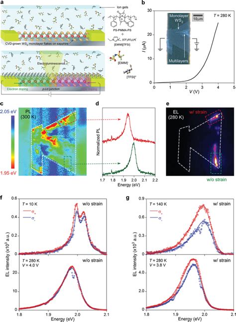 Spatially Resolved Polarized El Spectroscopy Of Monolayer Ws2 Leds A